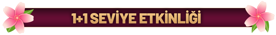 1+1 Seviye.png