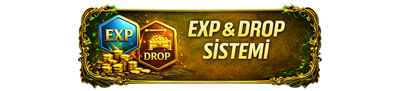 exp-drop-sistemi.png