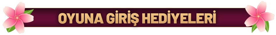 OYUNA GİRİŞ HEDİYELERİ.png