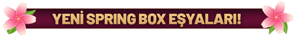 Spring Box.png